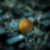 Symbolic representation of Hemp Coin within cryptocurrency