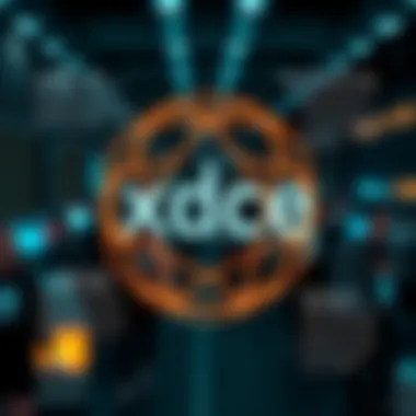 Infographic on governance issues of xdce