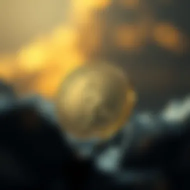 Artistic representation of the Kangaroo Coin