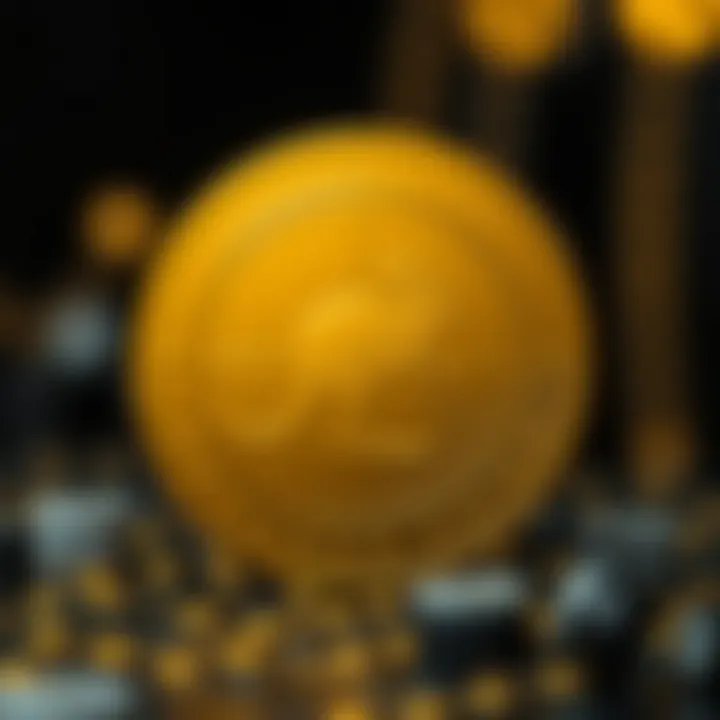 Diagram showcasing the technology behind Kangaroo Coin