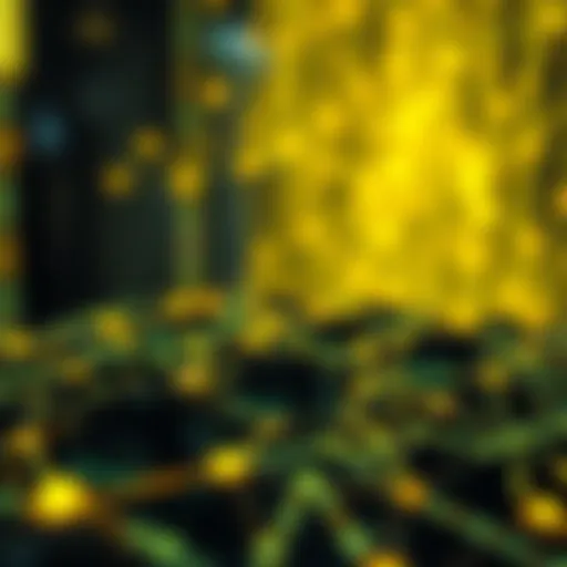 Conceptual representation of a blockchain ecosystem